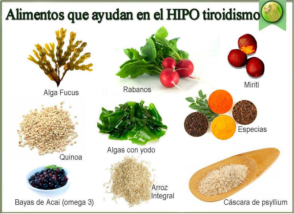 alimentos que ayudan en el hipotiroidismo
