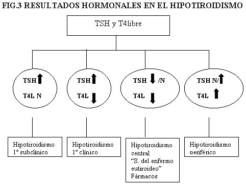 Hipotiroidismo valores