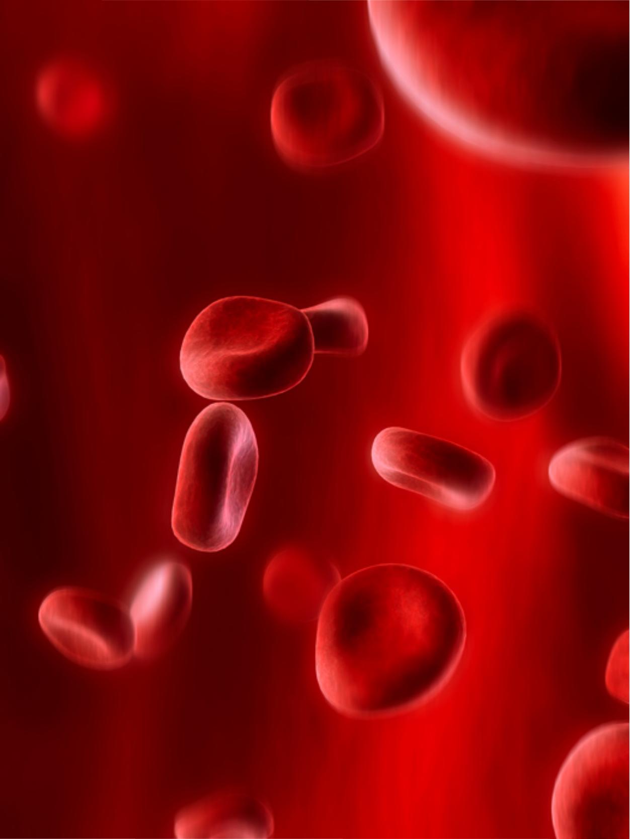 glóbulos rojos o eritrocitos