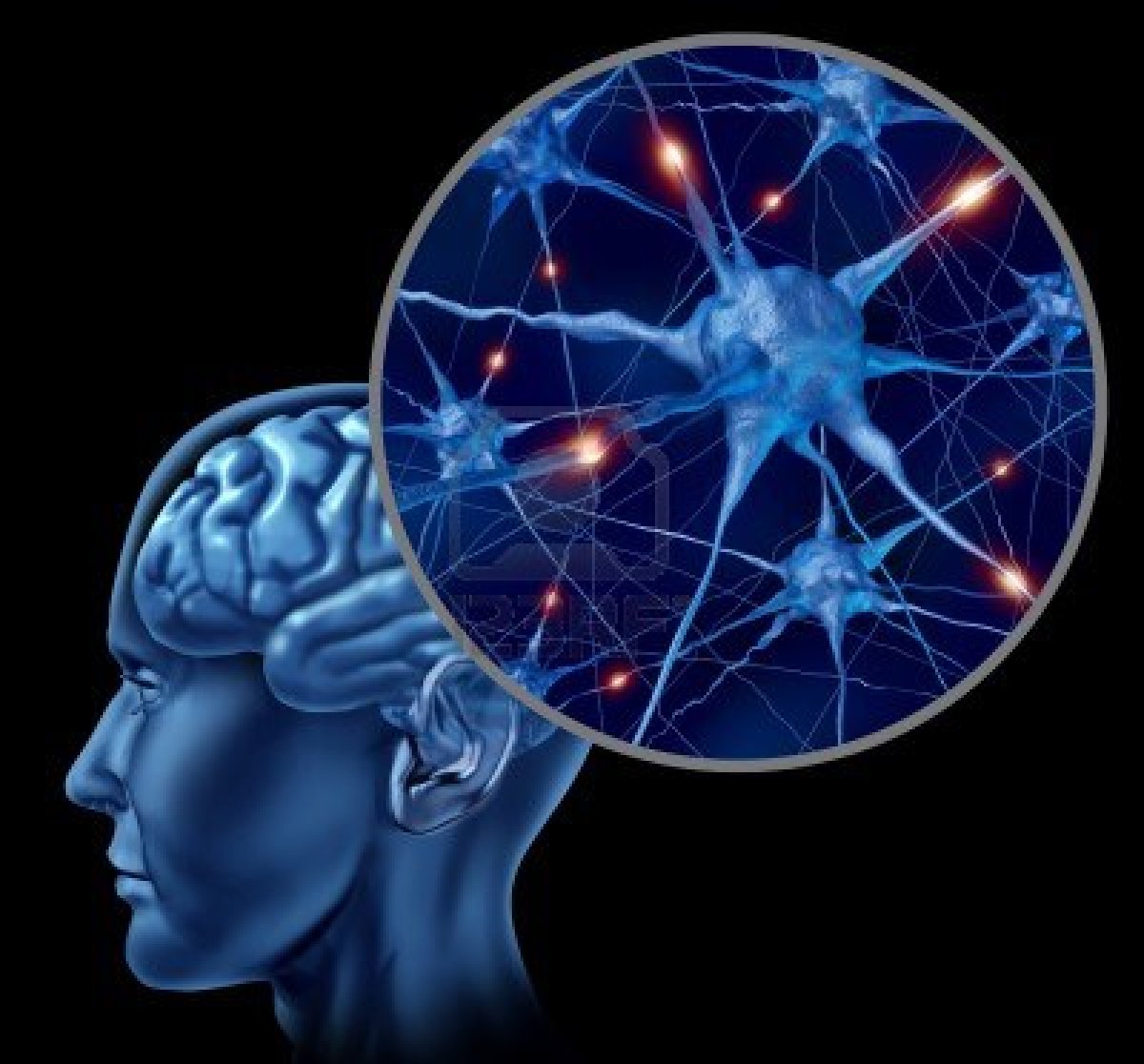 ilutracion conexion entre neuronas en el cerebro