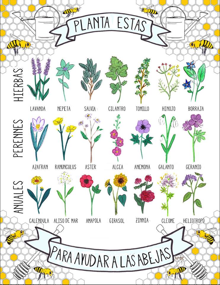 plantas para ayudar a las abejas