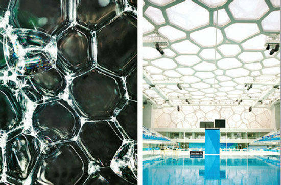 burbujas de cerca - piscina olímpica